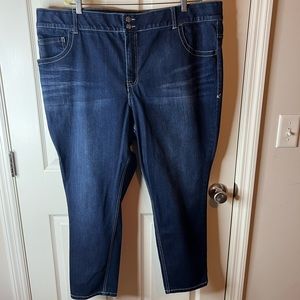 Lane Bryant Tighter Tummy Technology Jeans